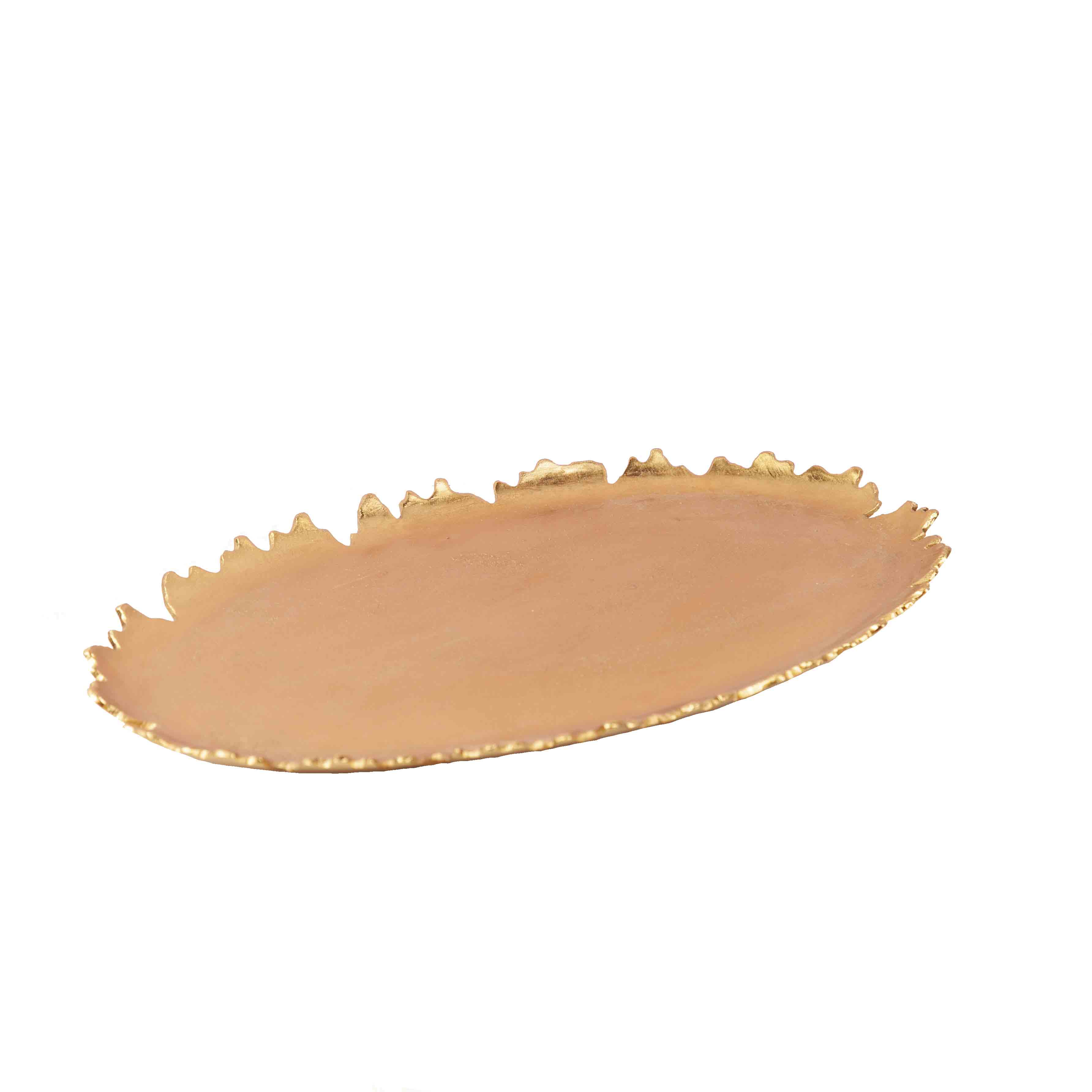 دیس بیضی کاوان